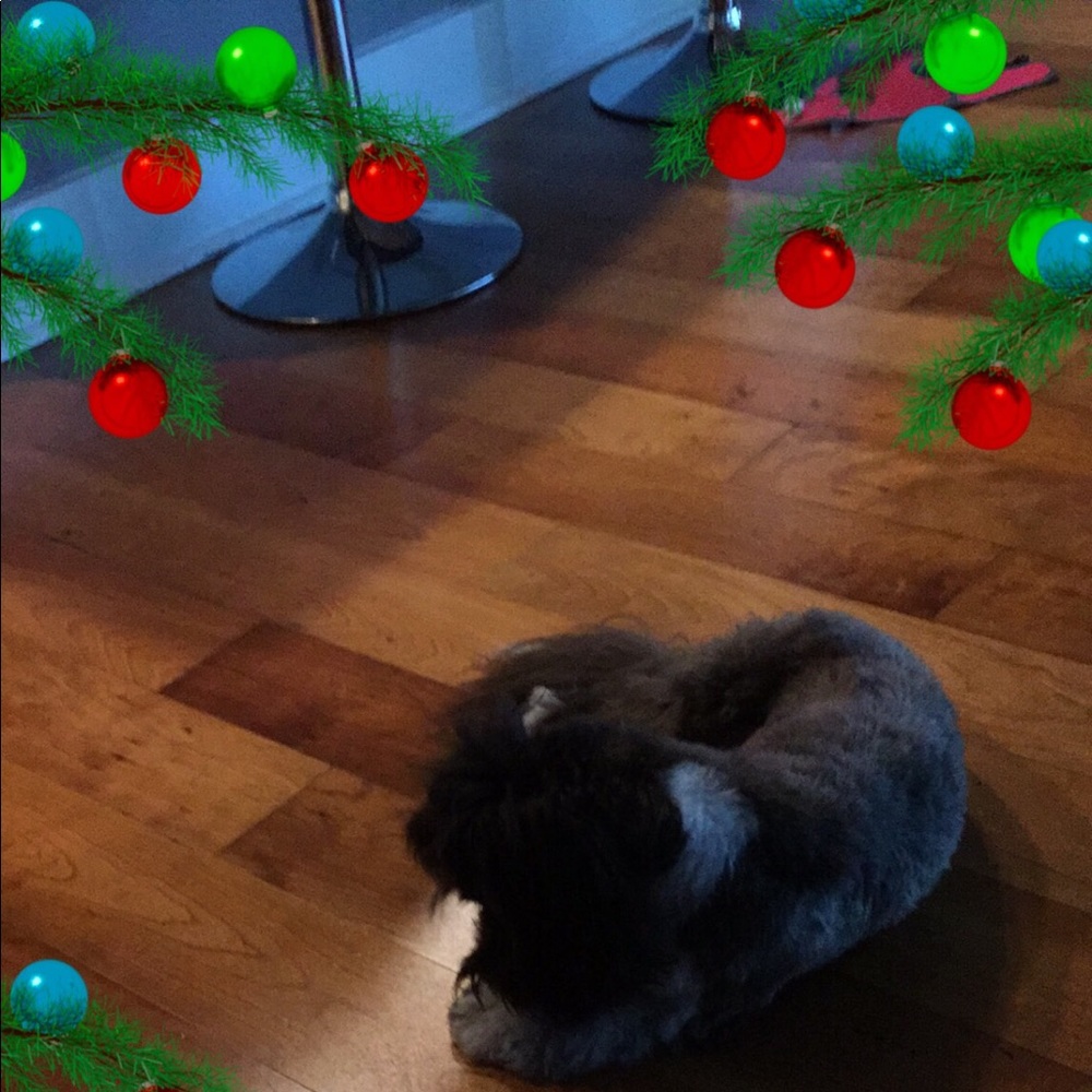 Meet your Posher, Joseph